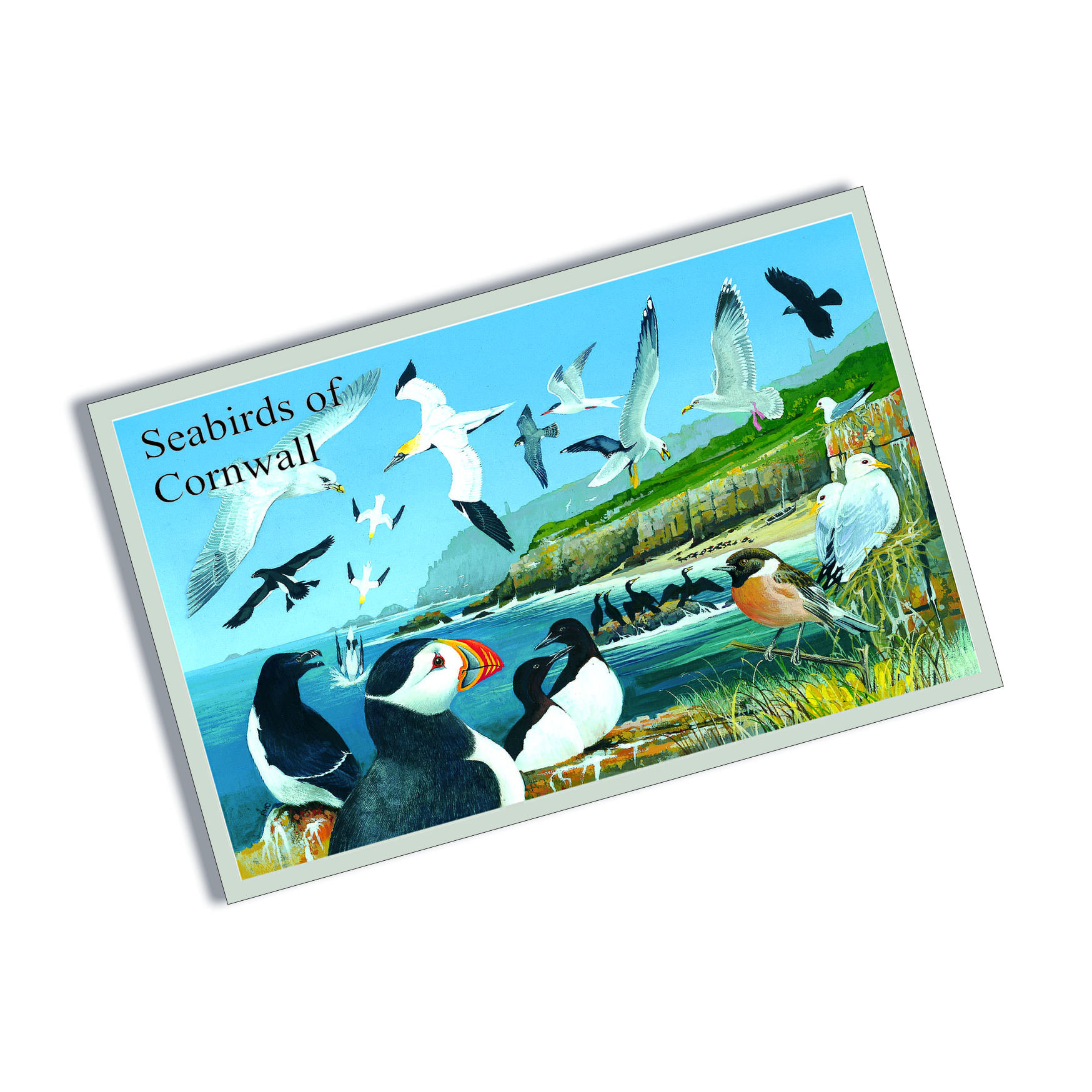 Lands End Cornwall Tin aimant de réfrigérateur Cornish souvenir carte postale 7.5 X 4.5 cm