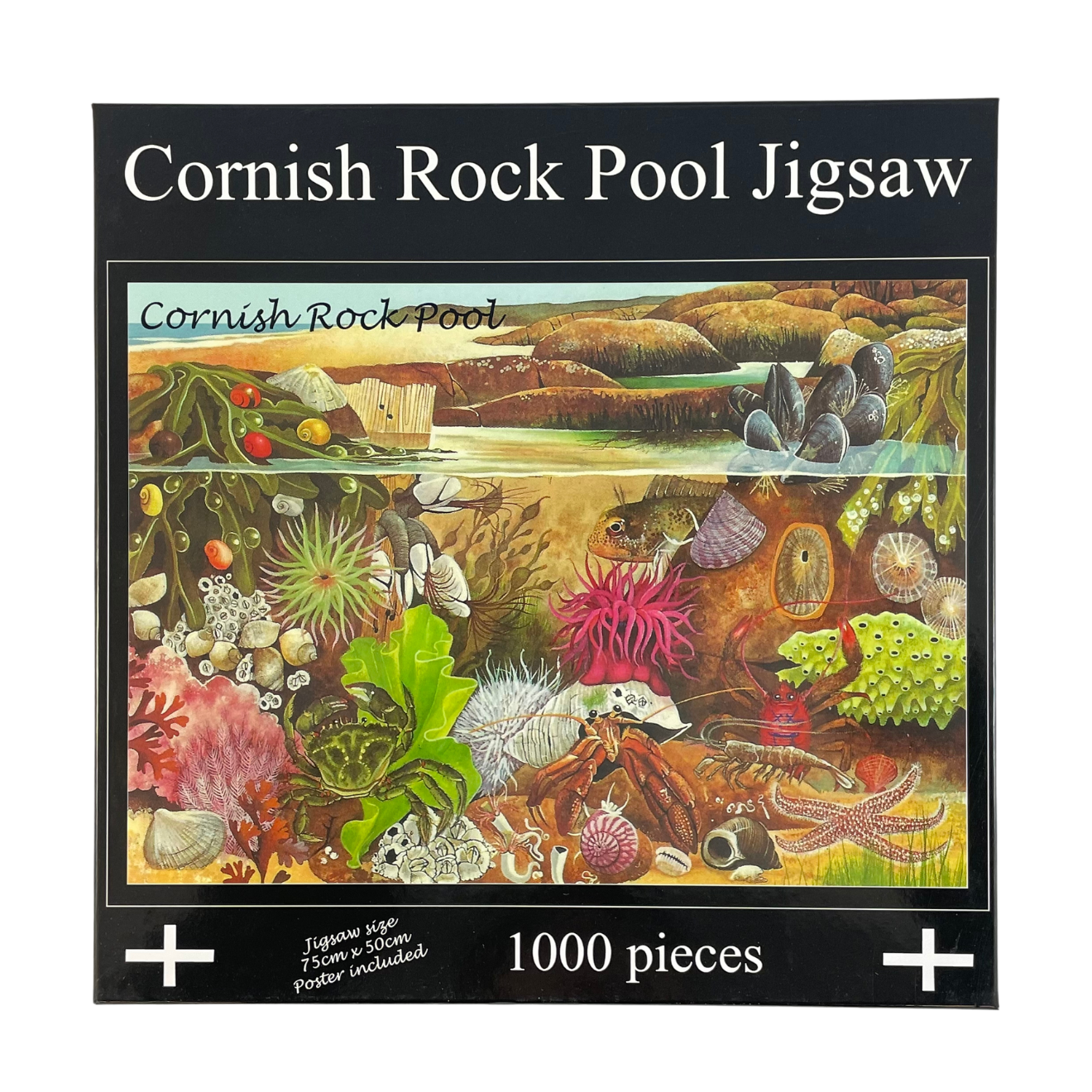 Cornish Rock Pool Jigsaw